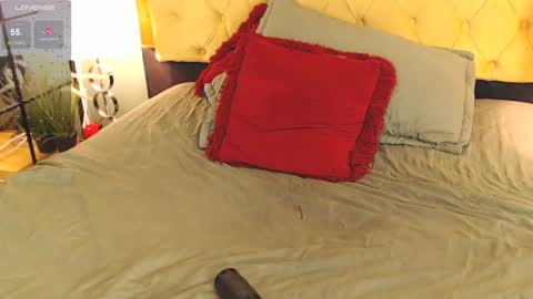 Snapshot of alishaweir chatting on 7, 12, 2024 Luna online show from 7, 12, 2024