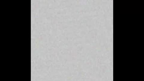 Alisse online show from 16, 2, 2026