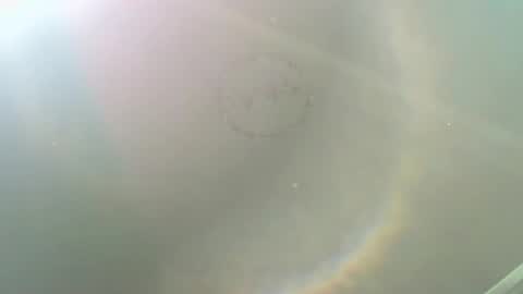 ALISON WOOD online show from 17, 11, 2025