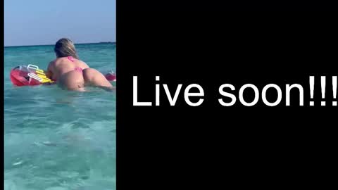 Snapshot of alliesynns chatting on 3, 10, 2025 Allie online show from 3, 10, 2025