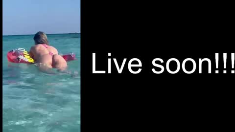 Allie online show from 8, 3, 2026