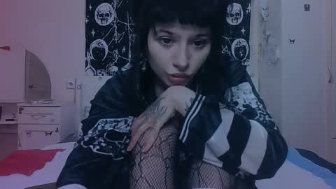 Alis online show from 11, 4, 2026