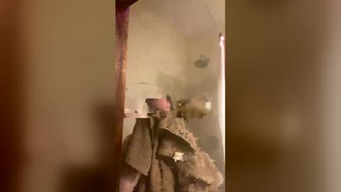 Snapshot of allisonlove2 chatting on 9, 4, 2026 allisonlove2 online show from 9, 4, 2026