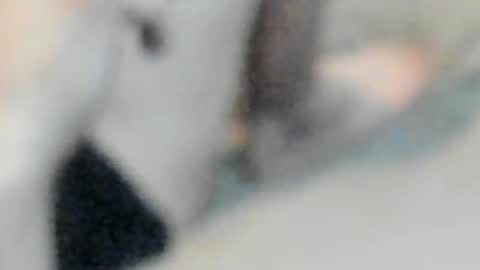 Snapshot of allways395 chatting on 25, 10, 2025 allways395 online show from 25, 10, 2025