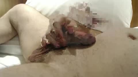 Frank online show from 29, 1, 2025