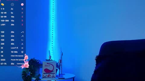 allymdo online show from 25, 11, 2025