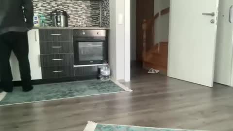 Snapshot of alphandre chatting on 28, 1, 2025 AlphAndre online show from 28, 1, 2025