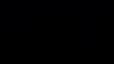 Snapshot of alphandre chatting on 14, 4, 2026 AlphAndre online show from 14, 4, 2026