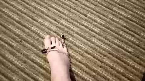 Couplefilth online show from 2, 4, 2026