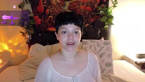         online show from 20, 9, 2025