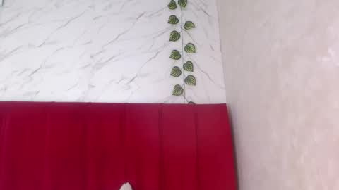 amandacanelacm101 online show from 3, 4, 2026