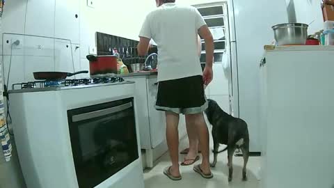 amantesdnoite online show from 30, 11, 2025