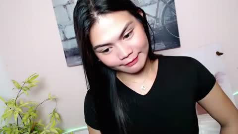 AMARAA online show from 5, 1, 2026