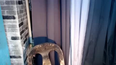 BELLA online show from 6, 6, 2026