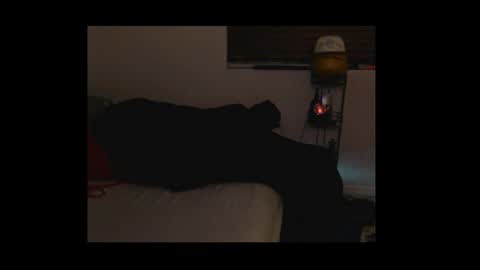 Mustang online show from 3, 3, 2026