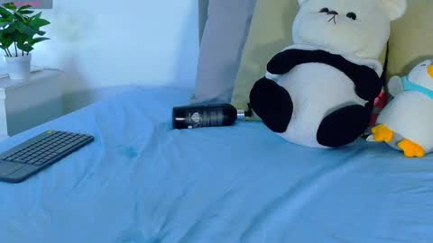 Snapshot of amber_bull chatting on 29, 4, 2026 amber_bull online show from 29, 4, 2026