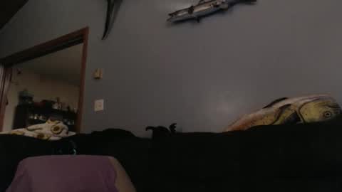 ambers666999 online show from 25, 10, 2025