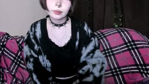 Amelia online show from 6, 5, 2026
