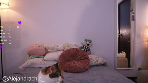 Snapshot of amelie_leigh chatting on 22, 5, 2026 Alejandra online show from 22, 5, 2026