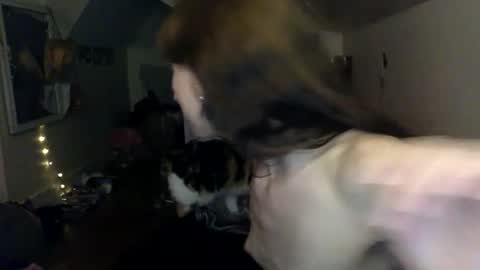 jane online show from 27, 3, 2026