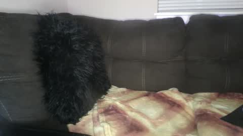 amiri_sweater online show from 25, 2, 2025