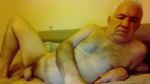 amstel69 online show from 28, 11, 2025