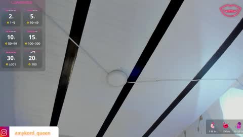 Amykord online show from 14, 11, 2025