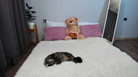 amymilson online show from 20, 12, 2024