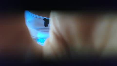 Snapshot of anahibraxxton chatting on 5, 12, 2024 Salsita online show from 5, 12, 2024