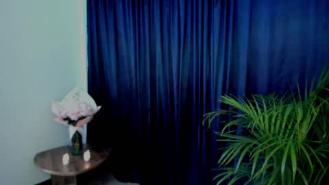 Ann online show from 28, 2, 2025