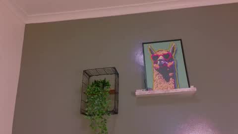 Kendra  online show from 17, 10, 2025