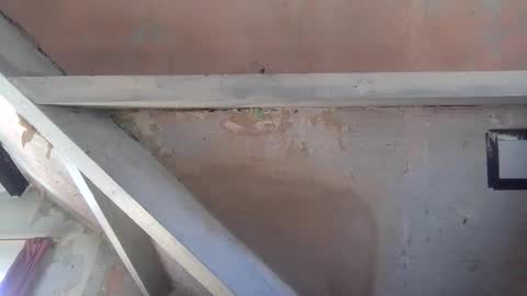 Andrew online show from 2, 4, 2026