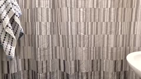 andrewo42601 online show from 6, 1, 2026