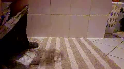 andris40 online show from 8, 2, 2026