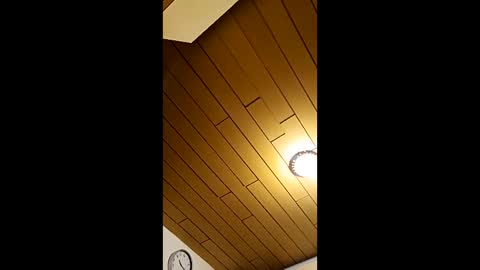 andris40 online show from 22, 3, 2026