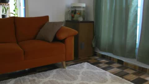 Cherry online show from 20, 4, 2026