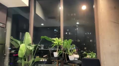 Andylynn Payne online show from 20, 3, 2026