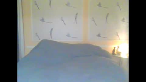 Alinessa online show from 1, 4, 2026