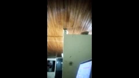 Angel dust9 online show from 3, 2, 2026