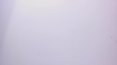 angel hardy online show from 15, 2, 2025