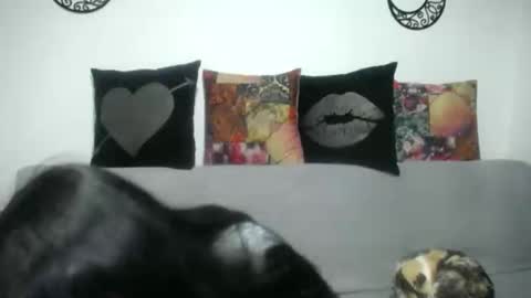 Snapshot of angela_mis chatting on 7, 3, 2025 Angela online show from 7, 3, 2025