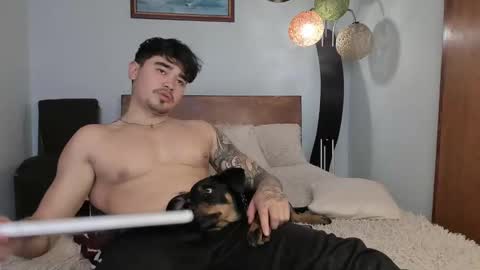 Angel Fox online show from 3, 12, 2024