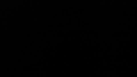 Angel Fox online show from 5, 12, 2024