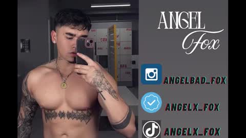 Angel Fox online show from 10, 9, 2025