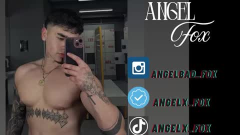 Angel Fox online show from 17, 9, 2025