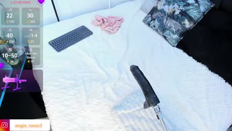 Snapshot of angiee_roses chatting on 14, 12, 2024 angiee roses online show from 14, 12, 2024