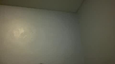 Snapshot of animeboygirls chatting on 10, 11, 2025 Animeboygirls online show from 10, 11, 2025