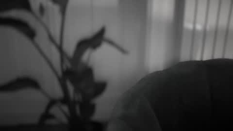 Anje online show from 2, 11, 2025