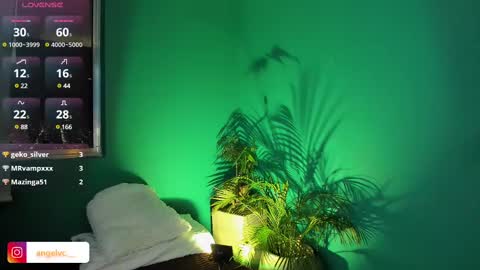 ANG  online show from 15, 2, 2025