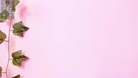 Anne online show from 2, 2, 2025